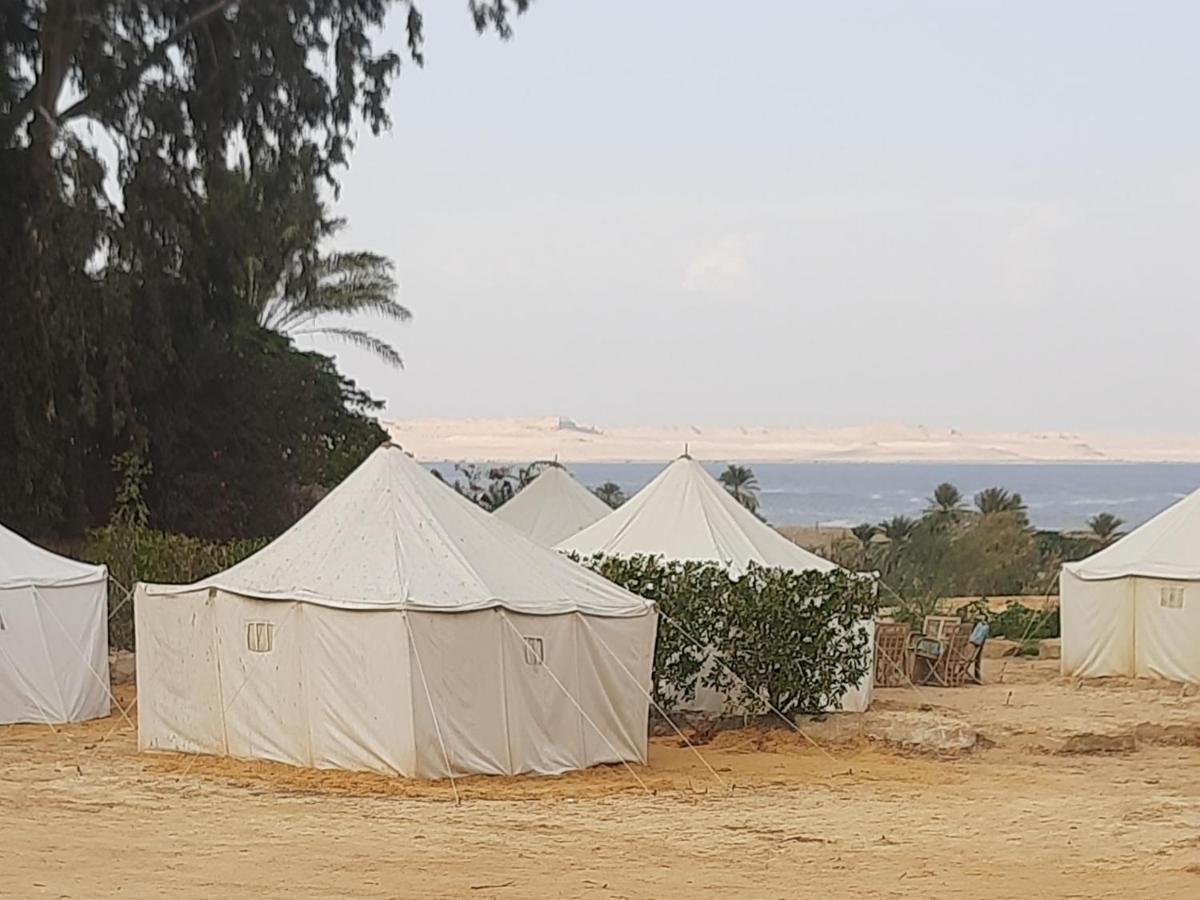 Tunis Camp Fayoum Room photo