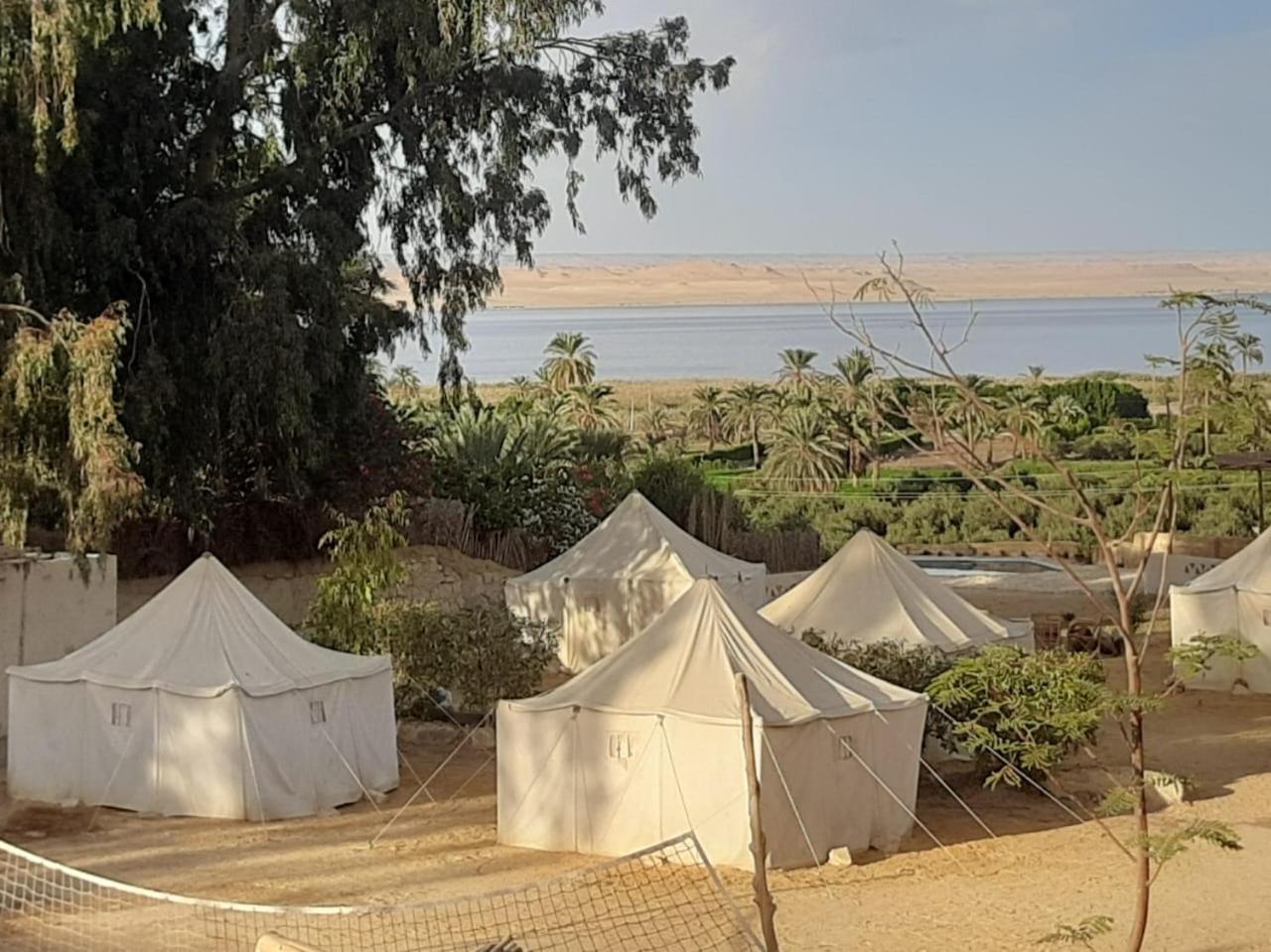 Tunis Camp Fayoum Exterior photo